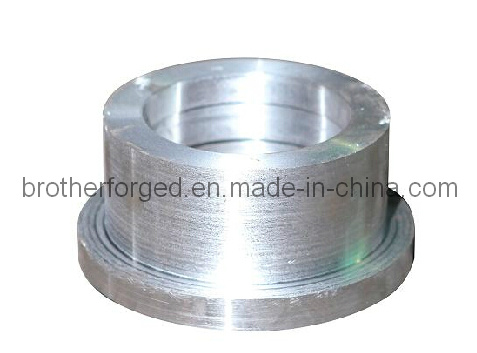 Steel Forging/Flange