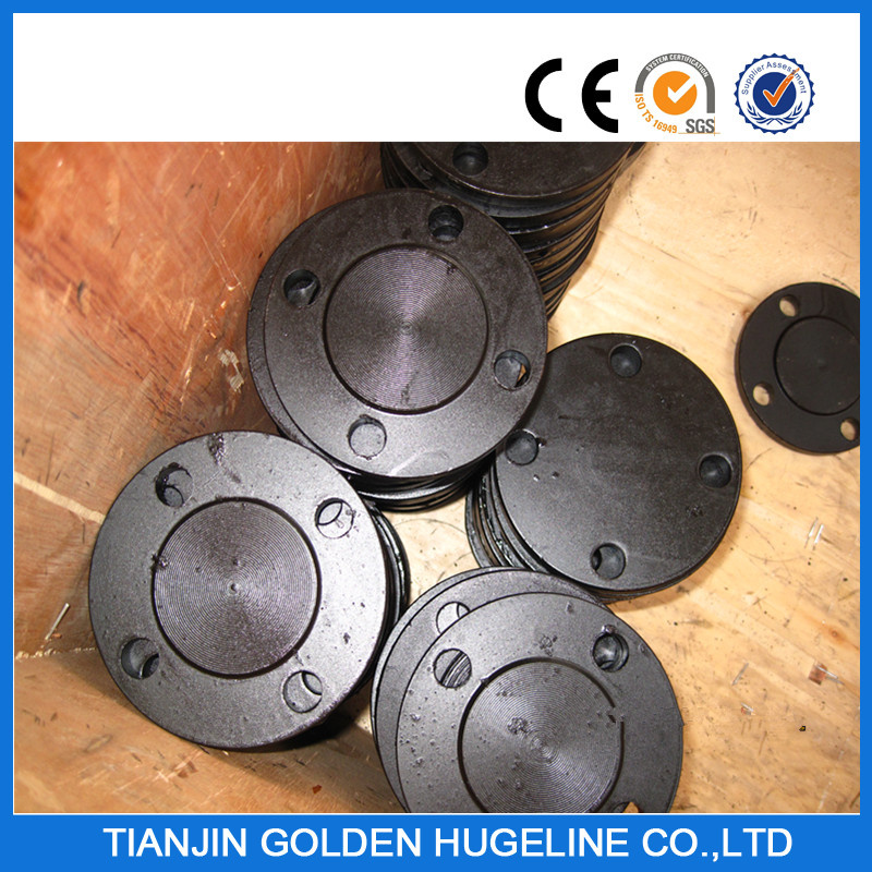 Ss400 JIS 10k Forged Blind Flange