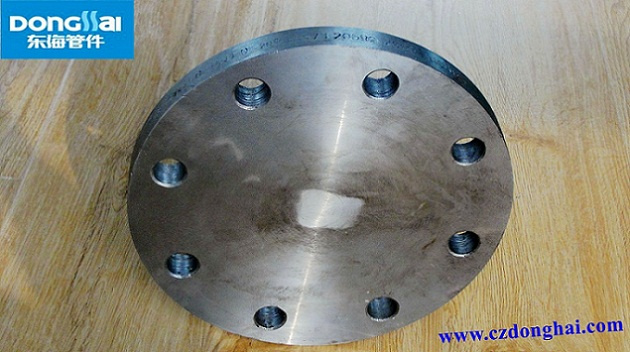 20# Blind Flange (0010)