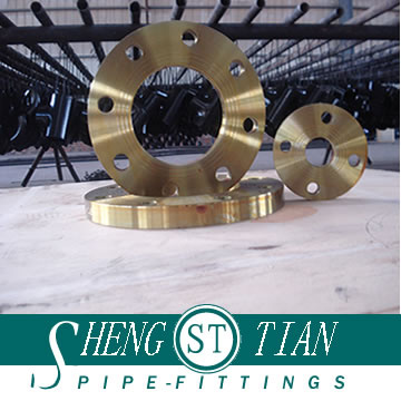 Carbon Steel Flange (1/2