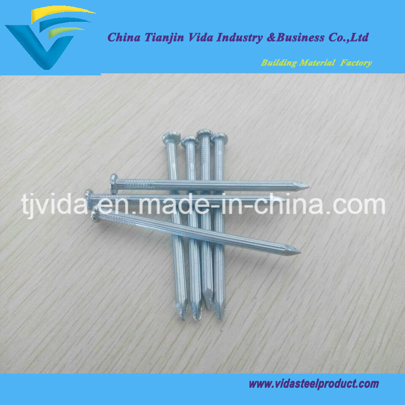 Manufacturer Forging Carbon Steel Concrete Nail