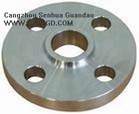 Carbon Steel Flange -23