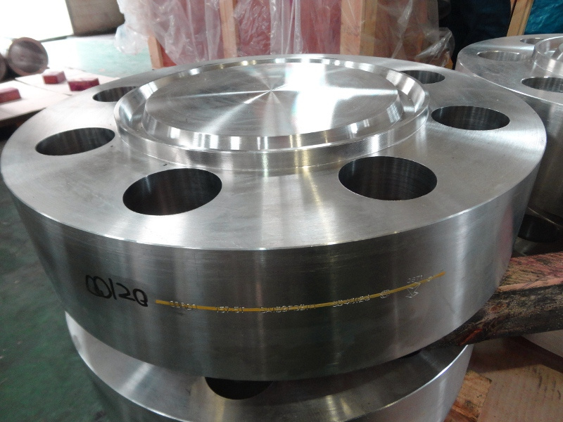 F904L Flange, Forging