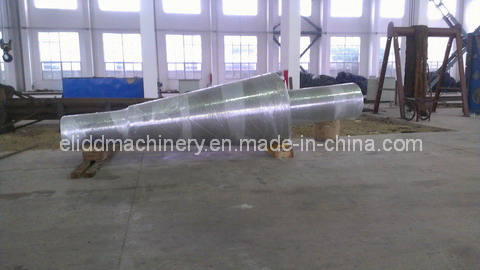 Forging Stainless Steel Shaft/Forging Shaft (ELIDD-S77J)