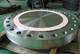 Forged Pipe Sheet/Forged Tube Sheet