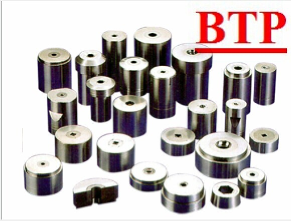 Tungsten Cold Forging Dies (BTP-D260)