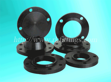 Forged Flange/Pipe Flange/Flange