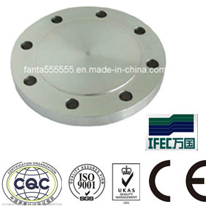 Steel Forged Flange (IFEC-FL100001)