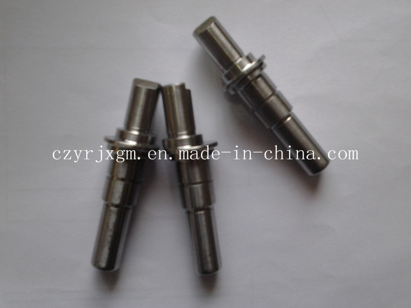 High Precision Eccentric Shaft for Machine