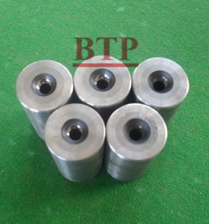 Tungsten&Alloy Bugle Hole Mould for Bugle Head Screw (BTP-D064)