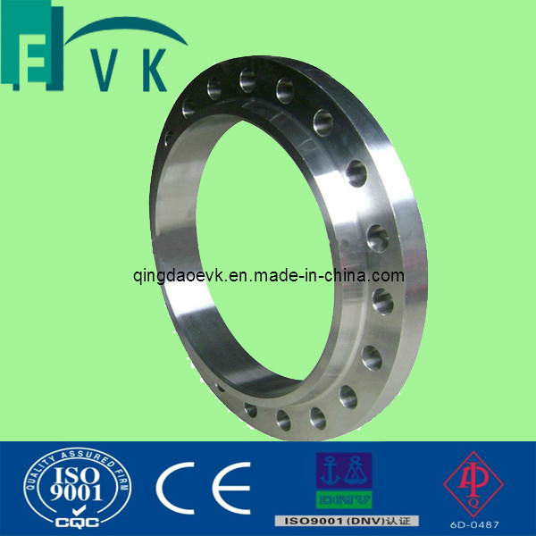 Stainless Steel Flange