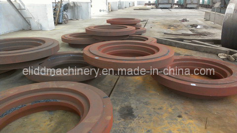 Welding Neck Forging Flange/Stainless Steel Flange/Pipe Fittings (ELIDD-SDDC)