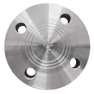 Stainless Steel Blind Flange