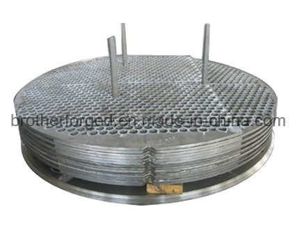Steel Forged Tube Sheet/Forging Parts /Flange