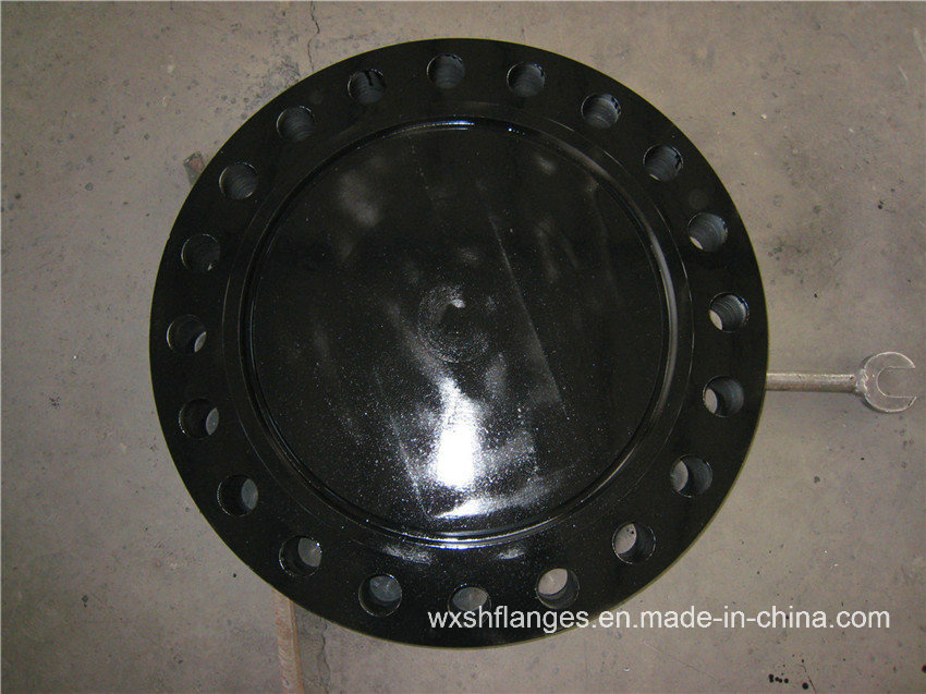 Blind Flange (BL) Stainless Steel/Alloy Steel Forged Flange