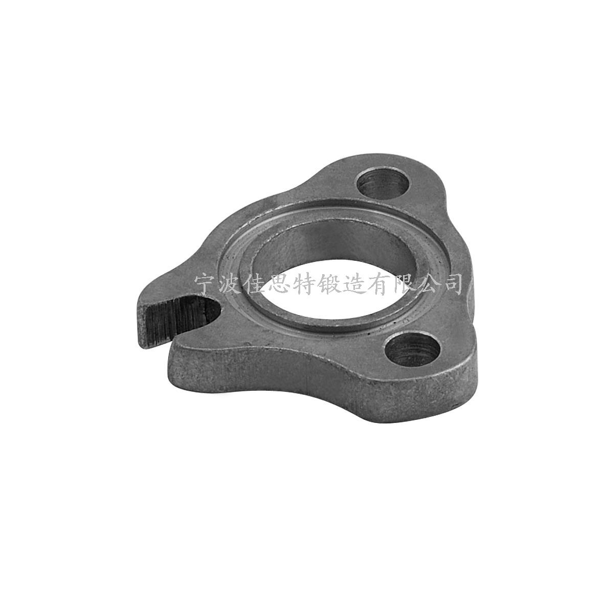 Forged Flanges