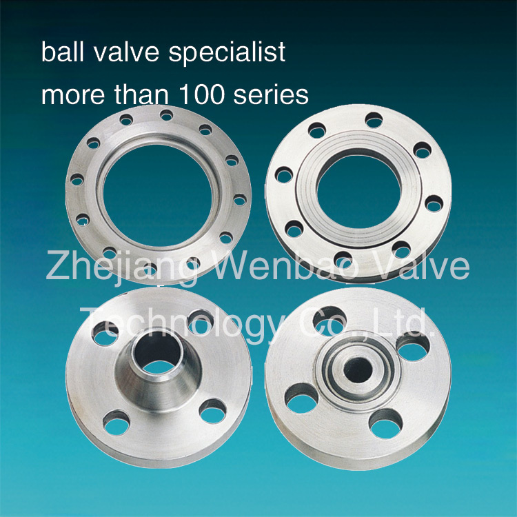 Stainless Steel ANSI B16.5 Flange