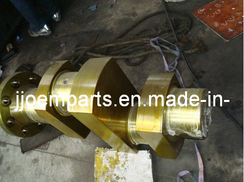 Forged/Forging Steel Crankshafts (Crank Shafts)