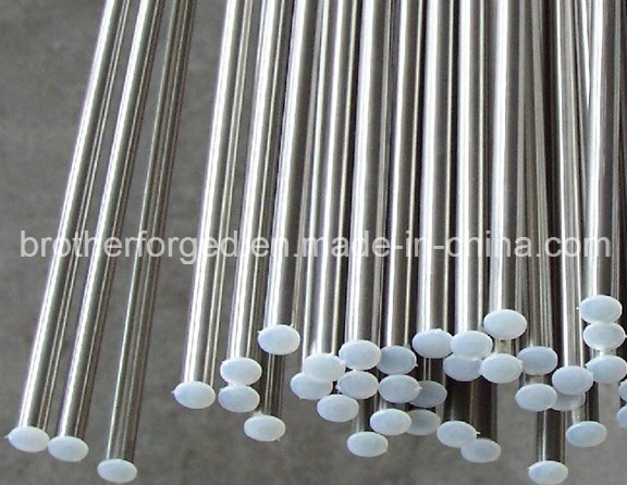 Hot Rolled Alloy Steel Round Bras/Round Steel