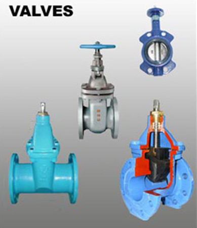 Castings and Forged (Valves)