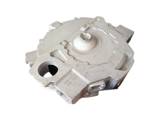 Customized Aluminium Alloy Precision Die Casting Part (DR308)