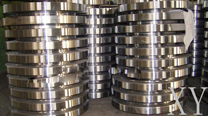 Stainless Steel F316L Forged Flange