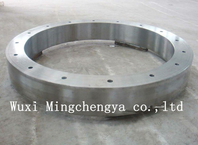 Steel Ring Forging, Forging Ring