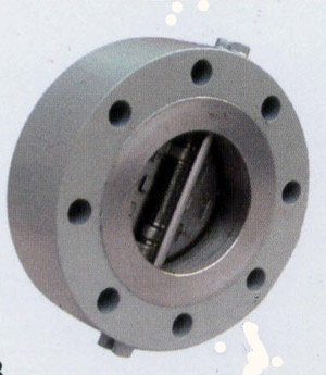 Forging Steel Lug Check Valve