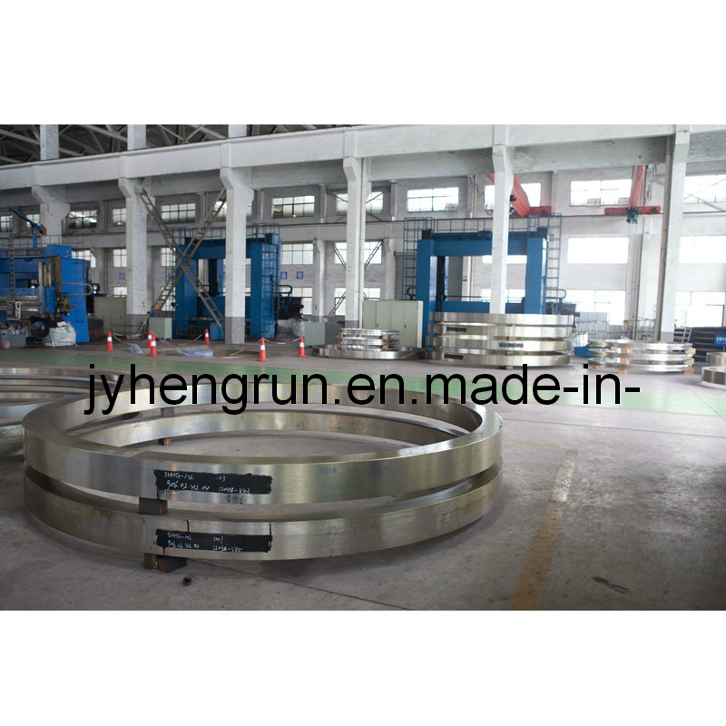 Free Forging/ Ring Forging Flange