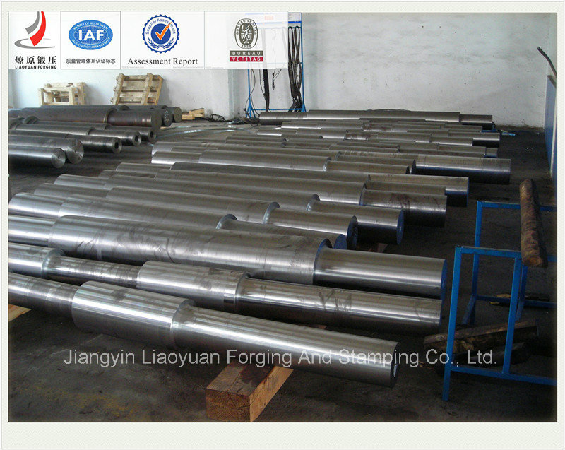 Motor Main Shaft Forgings/Forged Motor Shaft