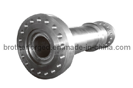 Flange Forging