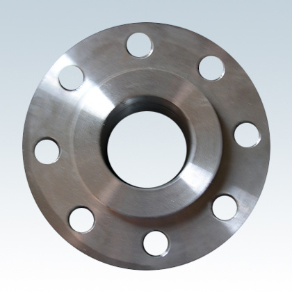 Stainless Steel Flange