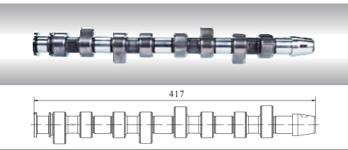 Camshaft for Ford Vw and Seat 028.109.101f