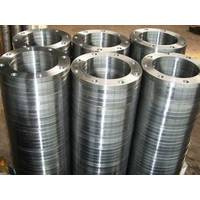 EN1092-1 Flange