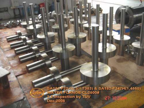 Forging-F22 Shaft (Water Flange)