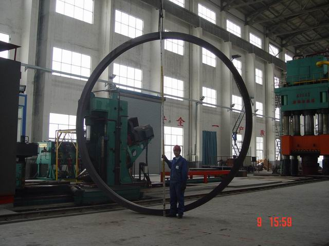 Wind Power Flange