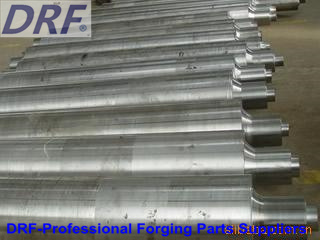 Forging Shaft (Large Forgings Large axis forging)