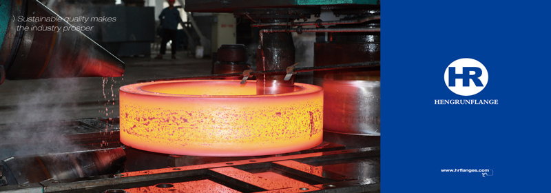 Free Forging Stainless Steel Flange-8