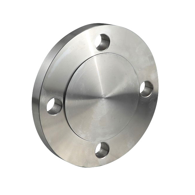 Stainless Steel Blind Flange