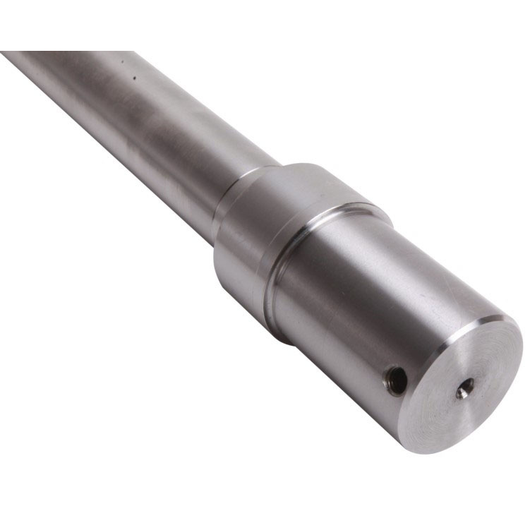 Shaft Motor