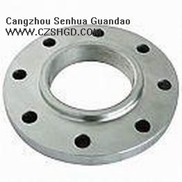 Carbon Steel Flange -21