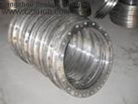 Carbon Steel Flange -12