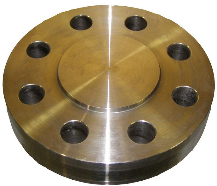 Forged/Forging Flange