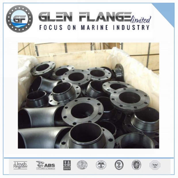 Forged Steel Flanges