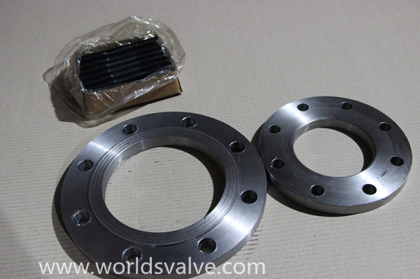 Carbon Steel Flange (P32)
