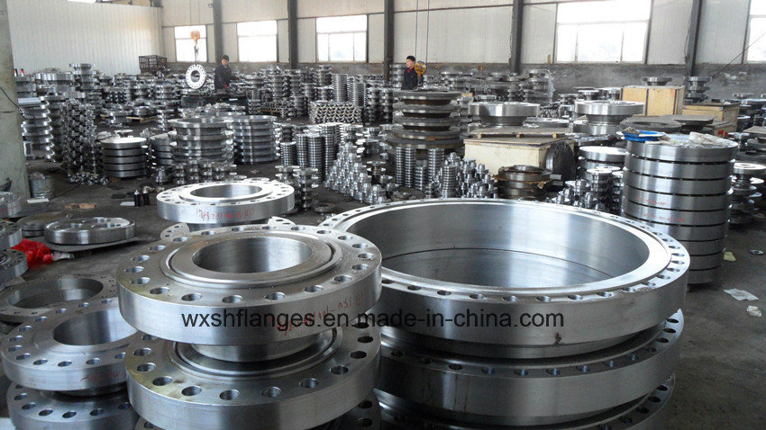 Forged Alloy Steel Flange/Forging (SJH)