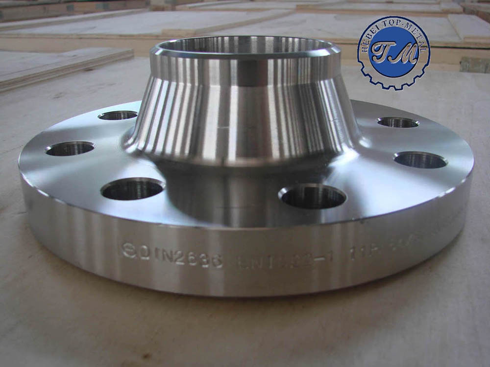 Stainless Steel Flanges