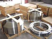 Stainless Steel Flange Forging/Forging Flange (ELIDD-CSSD)