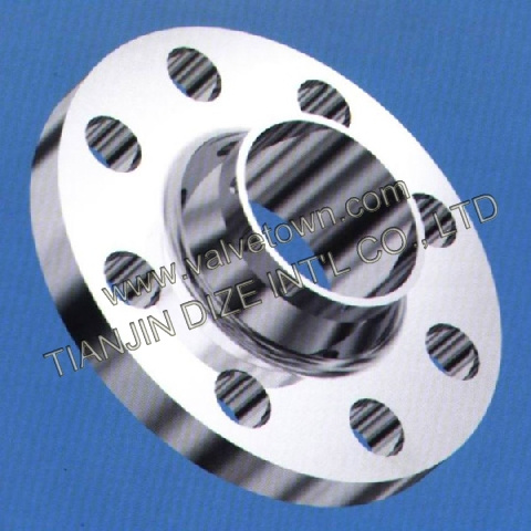 DIN Standard Stainless Steel Flange