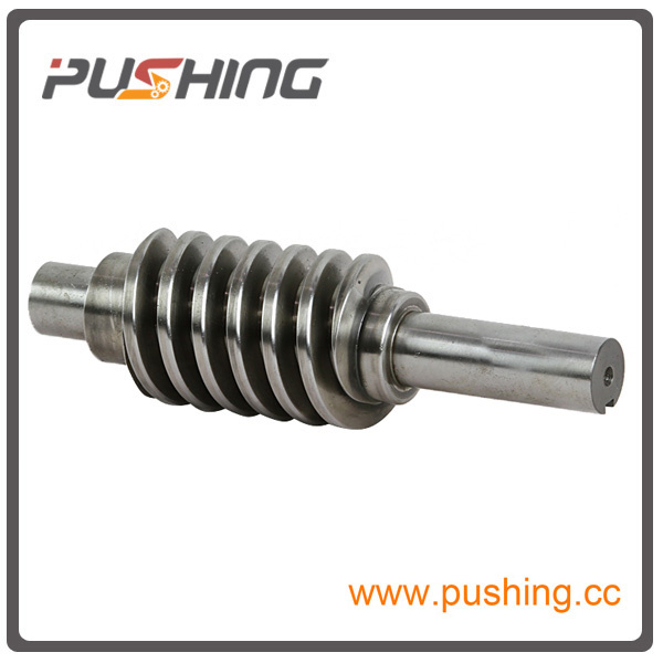 Precision Worm Shaft for Auto Parts